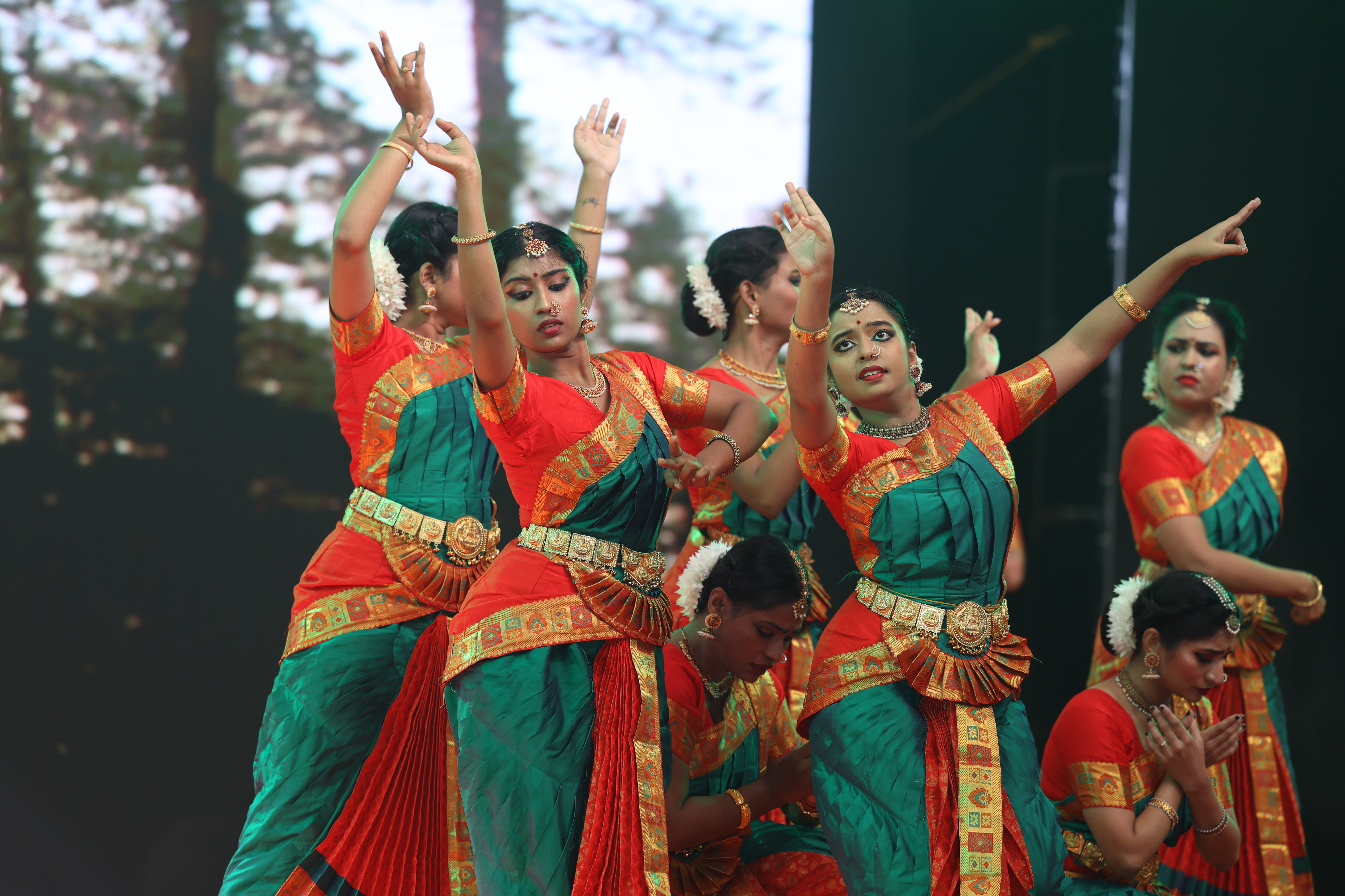 Individual Registration